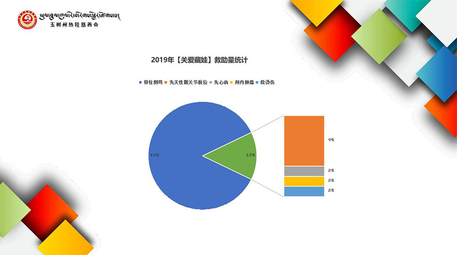 2019年【关爱藏娃】救助量统计
